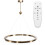 Plafondlamp Ophanglus Led App1549-cp Gold Pilot 1