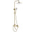 Shower Set Rea Storm Gold Brush 3