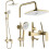 Shower Set Rea Storm Gold Brush 1