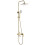 Shower Set Rea Storm Gold Brush 3