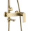 Shower Set Rea Storm Gold Brush 7