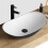 Countertop Basin Rea Royal Black White 3