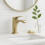 Μπαταρία Premium Rea Joe Brush Gold Low 6