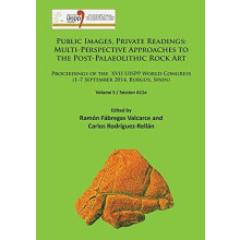 Public Images Private Readings MultiPerspective Approaches to the Post
