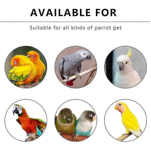 (As show, One size) Bird Harness and Leash Set - Reflective Vest Adjustable Flight Training Suit forl 2