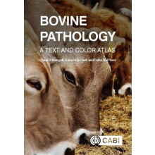 Bovine Pathology by Del Piero Dr Fabio Professor of Pathology Louisian