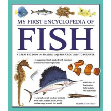 My First Encyclopedia of Fish giant Size by Mcginlay Richard Paperback