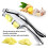 2-in-1 Stainless Steel Garlic Press Dolphin Handle Multipurpose Crusher 9