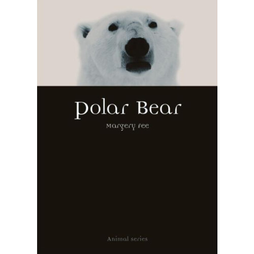 Polar Bear by Margery Fee Paperback Book