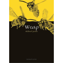 Wasp by Richard Jones Paperback Book