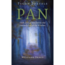 Pagan Portals Pan Dark Lord of the Forest and Horned God of the Witche