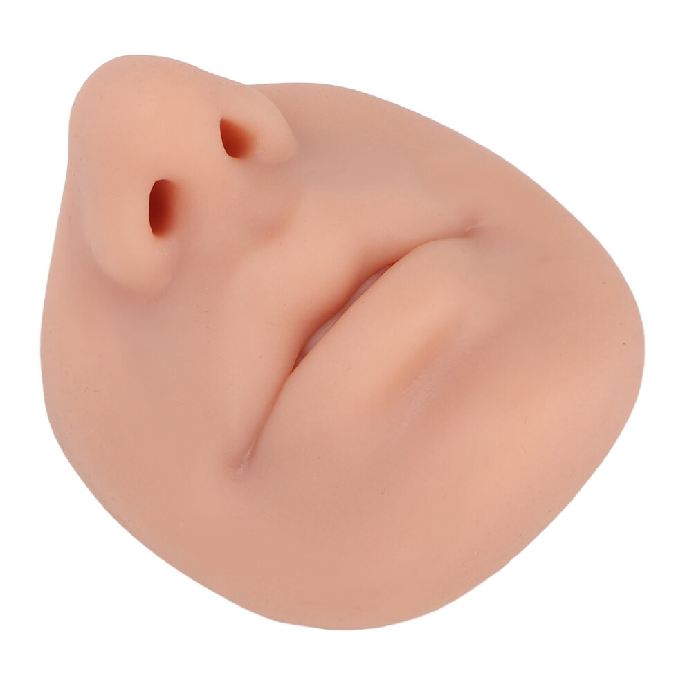 Flexible Silicone Nose Model with Mouth Soft Imitation Reusable for Teaching