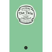 Stories from the Tain Paperback Book