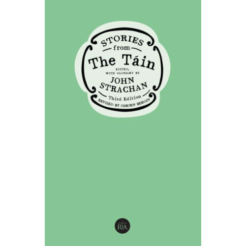 Stories from the Tain Paperback Book