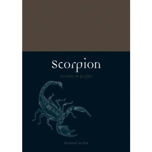 Scorpion by Louise M. Pryke Paperback Book