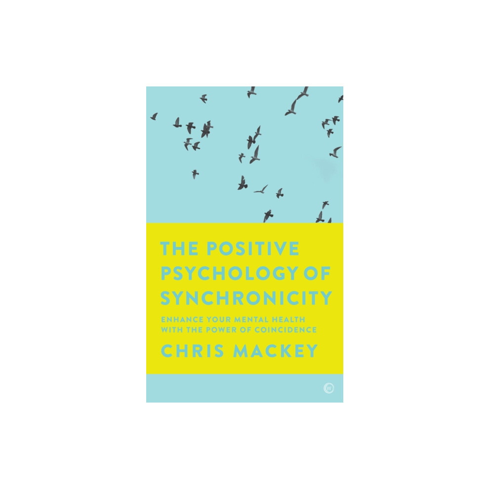 Riachristiecollections The Positive Psychology Of Synchronicity By Chris Mackey Paperback Boo