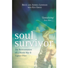 Soul Survivor by Ken Gross Paperback Book