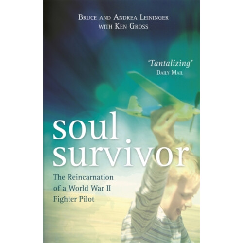 Soul Survivor by Ken Gross Paperback Book