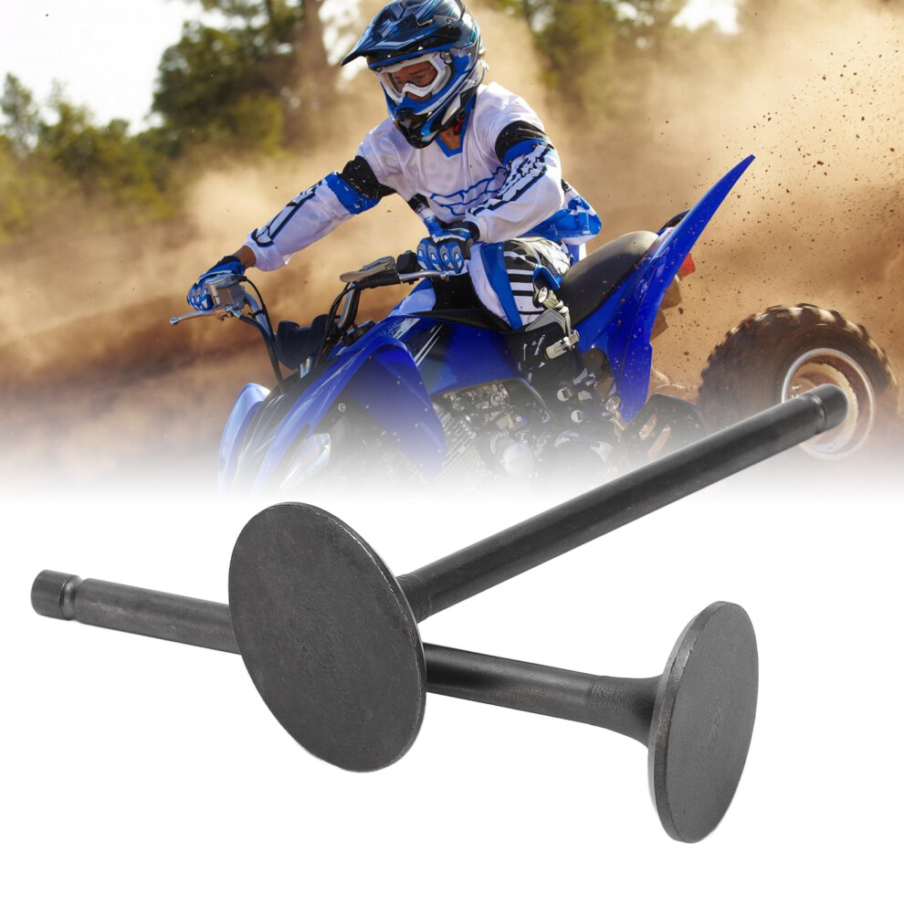 Exhaust Intake Valve Set For Xg250 Tricker 2004-2017 Replacement Black 8191356442421