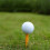 Plastic Golf Tees for Practice, 85mm, 77g, Assorted Colors 13