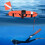 Scuba Flag Diver Down Float Buoy Efficiently Designed Fluorescent Pink 5