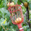 Fruit Picker Basket Metal Construction, Durable Handheld Harvesting Tool For Garden 5