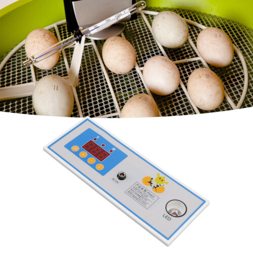 Digital Incubator Temp Controller 30W 12V, Fully Automatic, 4 Channels