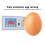 Digital Incubator Temp Controller 30W 12V, Fully Automatic, 4 Channels 12