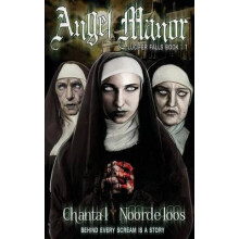 Angel Manor by Chantal Noordeloos Paperback Book