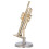 Miniatur-Trompete, langlebiges Messing, exquisites 7