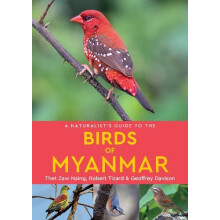 A Naturalists Guide to the Birds of Myanmar by Geoffrey Davison Paperb