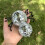 Disco Spiders Ornament With Mirrored Detailing Party-style A 7