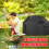 Practical Quality Grills Cover Waterproof Dustproof-32inch 4