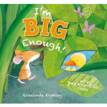 Friends for Mouse by Rosalinda Kightley Other Book