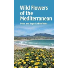 Wild Flowers of the Mediterranean by Ingrid Schonfelder Paperback Book