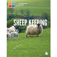Sheep Keeping by Kim Hamer Hardcover Book