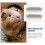 2 plastic luibak hamsters, konijnen en cavia's 11