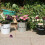 3-teiliges -Eimer-Set Eisen, retro, für und Garten 7