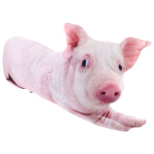 3D Schwein Dekokissen Für Sofa Auto Heimtextilien