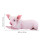 3D Schwein Dekokissen Für Sofa Auto Heimtextilien 11