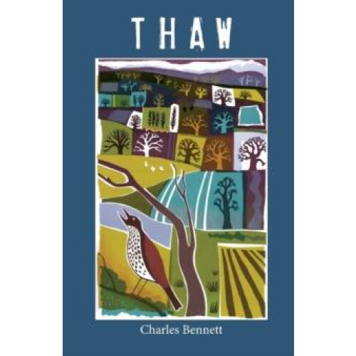 Thaw by Charles Bennett Paperback Book