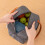 Sturdy Leak proof Lunch Box Organizers Easy cleaning-Gray 3