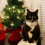 Söt Katt Halsband Med Blomma Och Klocka Justerbart Kattpresent 11