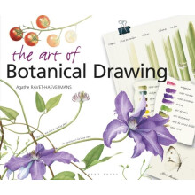 The Art of Botanical Drawing by Agathe RavetHaevermans Paperback Book