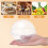 10Stk Transparente Kunststoff Kuchenbox Rund 350ml 9