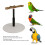 Travel-Friendly Adjustable Parrot Perch - Durable & Easy to Store 4