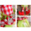 Christmas Gnome Faceless Old Man Dwarf Funny Long- legged 5