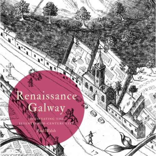 Renaissance Galway by Paul Walsh Paperback Book