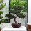 Modern Plastic Bonsais Tree Decoration Indoor Plant-Matsubara 2