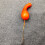 Permanent Color Tiny Spume Pumpkins Thanksgiving Table Scatter 5
